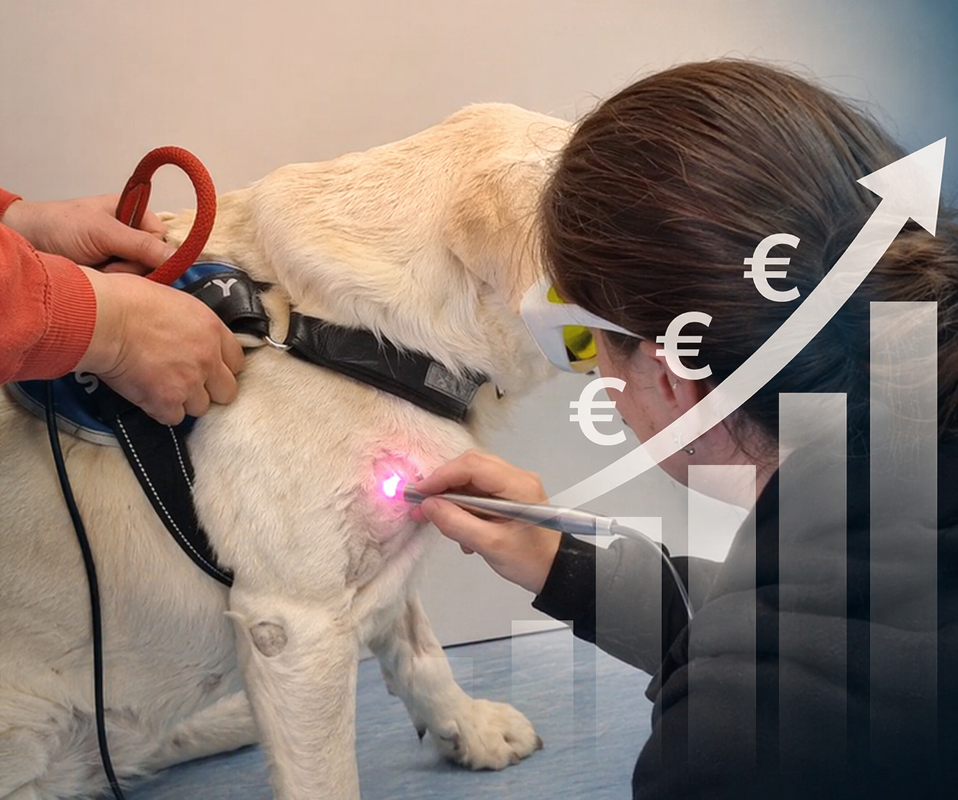 Laser veterinario Luxyvet: costo, ROI e quanto puoi guadagnare davvero in studio